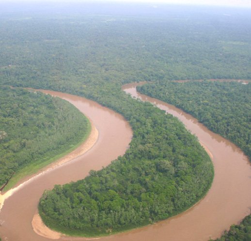 アマゾン（ナポ川流域）