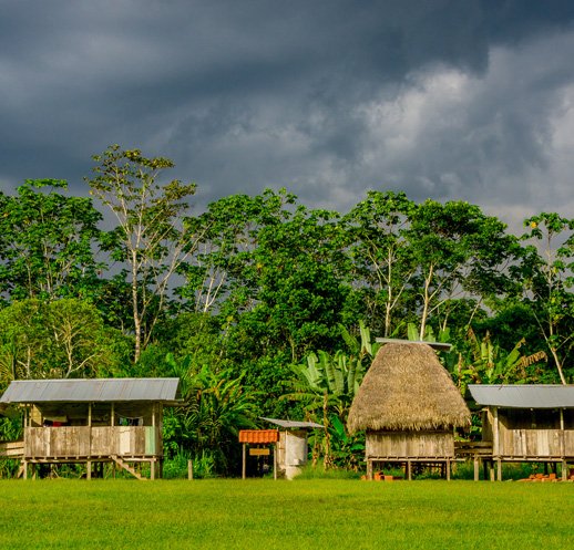 ヤスニ国立公園
